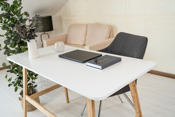 
Helles modernes Büro mit Kunstpflanze, Bürostuhl, Tasse, Couch, Notizbuch, Kugelschreiber und Laptop 
