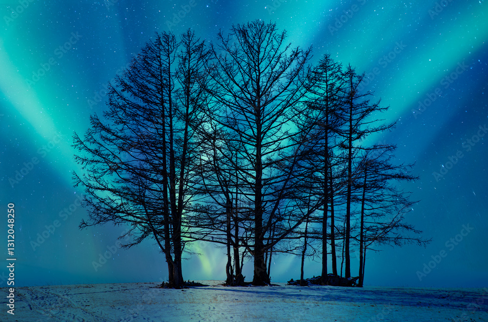 Wall mural northern lights or aurora borealis in the sky a group of dead tree in the foreground - tromso, norwa