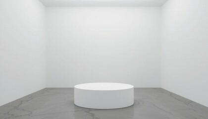 Fototapeta premium Minimalist display art gallery interior design modern frontal simplicity
