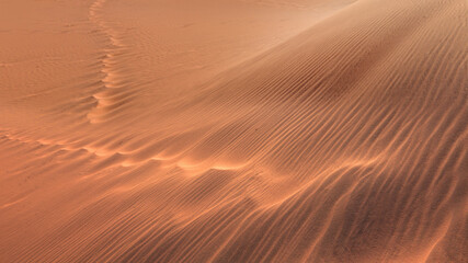 Footprints in rippled red sand of Namib sand dunes - Namib desert, Namibia
