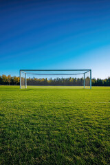 Empty soccer field with goalpost on lush green grass under clear blue sky