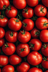 Fresh red tomatoes arranged neatly with green stems in abundant harvest display