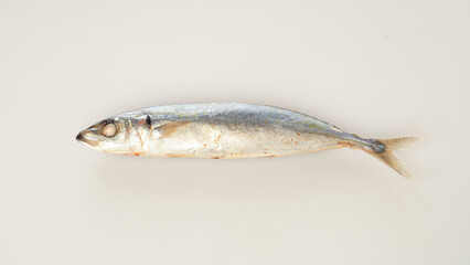 Isolated in White Background, a Fresh Silver Fish Showcasing Its Streamlined Body and Natural Colors