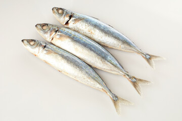 Isolated in White Background, Three Fresh Fish Arranged Symmetrically With Shiny Scales and Intact Features