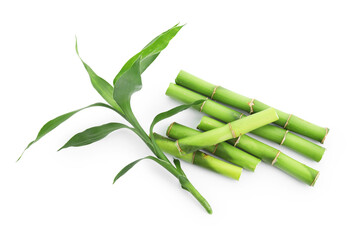 Cut green bamboo stems and leaves isolated on white, top view