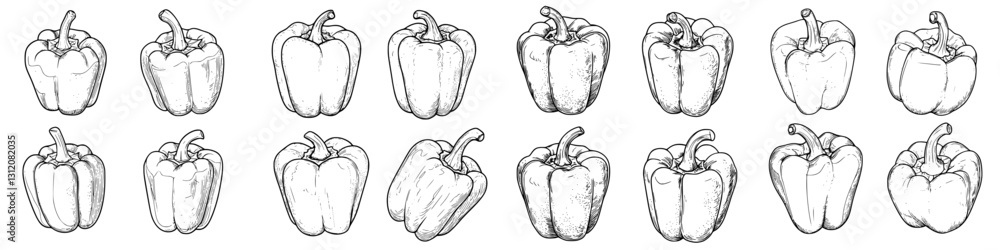 Poster detailed sketches of bell peppers arranged in a grid pattern showcasing various angles and shapes