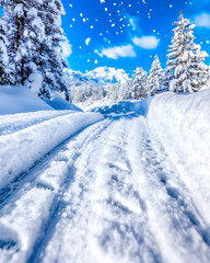 A snowy road winds through a forest, with snow-covered trees and mountains in the background