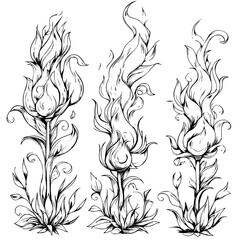 Fototapeta premium Flames entwined in floral designs captured in detailed sketches with a focus on unique artistic expression