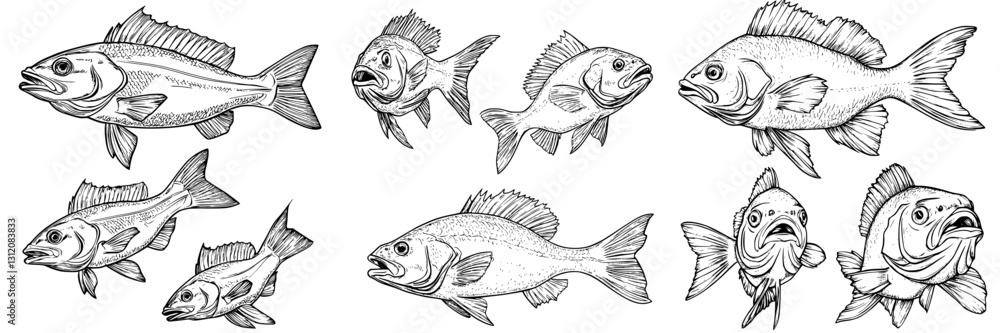 Poster various fish illustrations showcasing different species with distinct expressions and characteristic