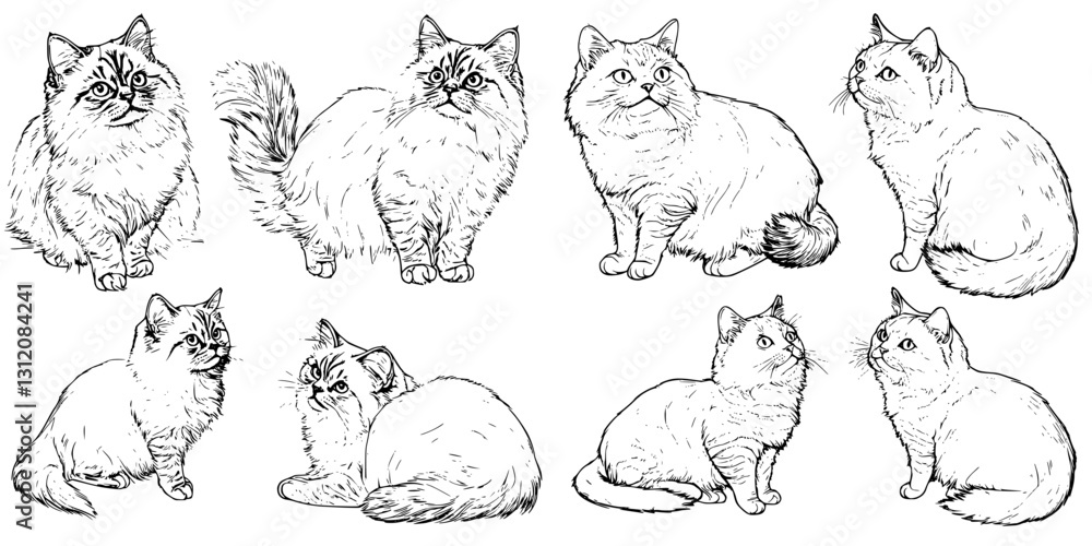 Poster various adorable cats in simple line art style showcasing different poses and expressions