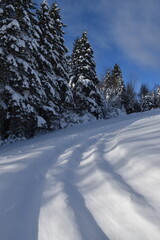 Obraz premium Tracks in a field, Sainte-Apolline, Québec, Canada