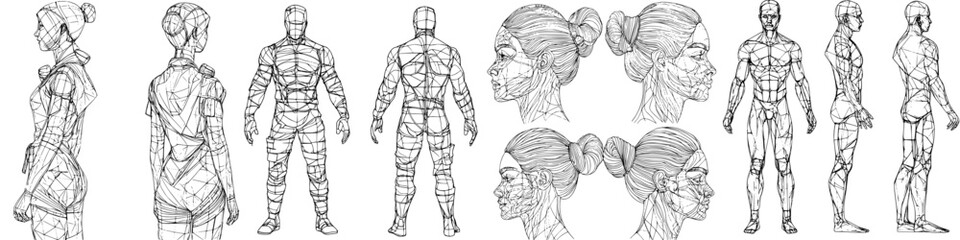 Exploring detailed human anatomy models for art and animation in a creative studio setting