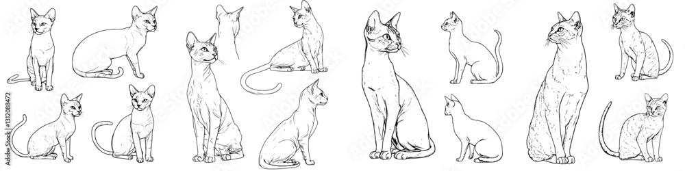 Poster collection of diverse cat sketches showcasing various postures and expressions in a minimalist style