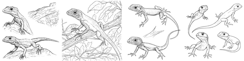 Obraz premium Scenic illustrations of lizards in their natural habitat showcasing various poses and environments during daylight hours