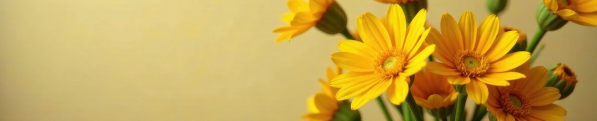 Orange and yellow flowers in a vase with a single white flower, yellow flowers, colorful blooms, contrasting colors