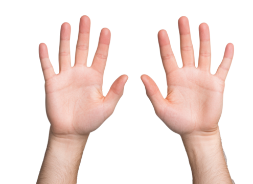 Open hands raised up showing palms against a plain background demonstrating a gesture of surrender or openness during a calm moment