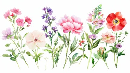 A vibrant watercolor illustration showcasing various colorful flowers arranged in a row, highlighting their delicate petals and lush green stems. isolated on white background.