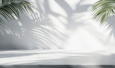 Palm Leaf Shadow on White Wall with Marble Table Background