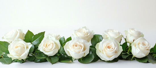 Obraz premium A close-up of elegant white roses arranged against a white background, ideal for wedding invitations, floral designs, or serene event banners.