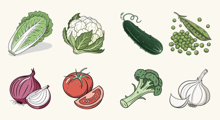 set of fresh vegetables, collection of fresh fruits and vegetables isolated on white background