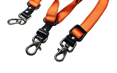 A harness for securing pets or equipment, isolated on a empty plain background