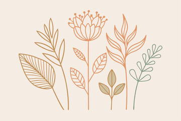 Fototapeta premium botanical illustrations simple line drawn, orange