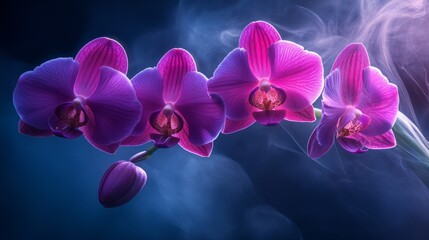 Fototapeta premium Exotic orchid with great detail, deep purple and pink tones generative ai