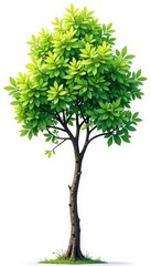 Fototapeta premium Single isolated branch with intricate details, tree, texture