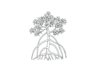mangrove tree hand drawn line art