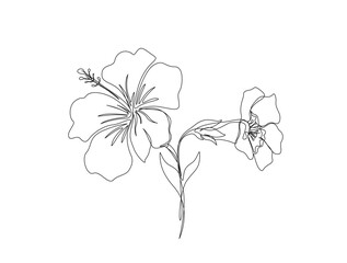 Continuous one line drawing of a piece hibiscus flower. Rose mallow  in single line draw illustration. Editable stroke.