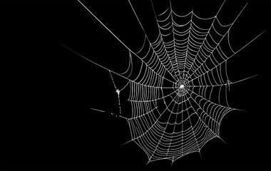 open space text of spider web on dark bakground