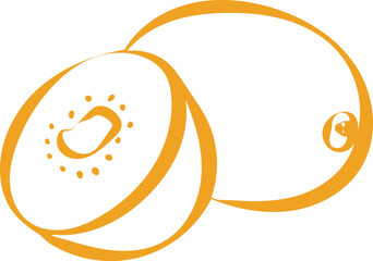 A hand drawn illustration of a kiwi fruit