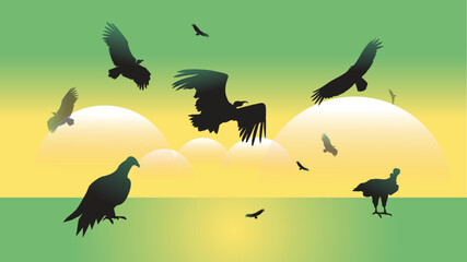 silhouettes of birds on a meadow