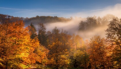 morning mist over the river