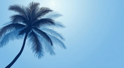Abstract palm tree background on aqua blue with copy space