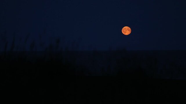 A blood red moon on the black sand beach in Iceland.