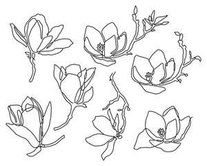 Magnolia Line Art Collection in line art