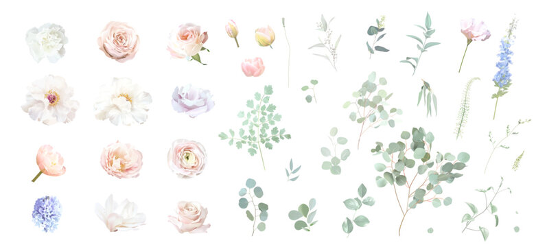Bridgerton inspired pastel floral vector design big set. Blue delphinium, white peony, magnolia, tulip, rose, carnation, hyacinth, greenery and plants. Flowers and branches are isolated and movable