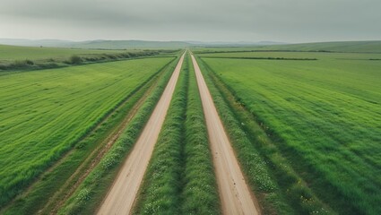 Naklejka premium Aerial view of two parallel dirt roads across green field.