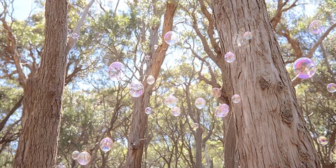Fototapeta premium Bubbles gently float through a sun-dappled forest glade ambiance