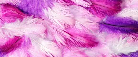 Fototapeta premium Close-up of a pink and purple feather showcasing the intricate texture of hummingbird feathers in nature