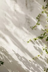 Sunlight casts shadows of green vines on a textured white wall, creating a minimalist and natural aesthetic.