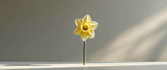 A close up of a yellow flower on a table.