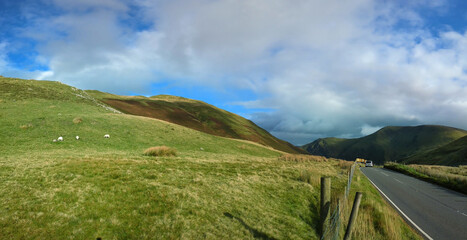 Sheep grazing on picturesque mountain side near a country road on the coast of Western Wales