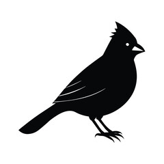 Cardinal Silhouette Vector Art | Black and White Cardinal Bird Illustration