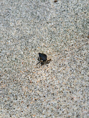 Parque Nacional Isla Santa Catalina