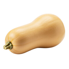 A single, fresh butternut squash is pictured against a transparent background