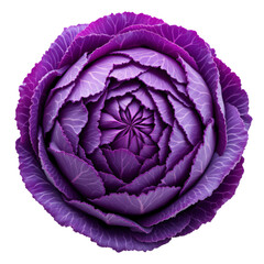 Obraz premium A detailed, close-up image of a vibrant purple cabbage head