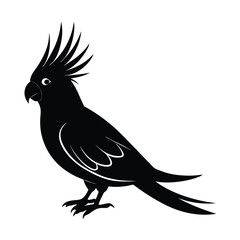 Cockatiel Silhouette Vector Art and Black - White Cockatiel Bird Illustration