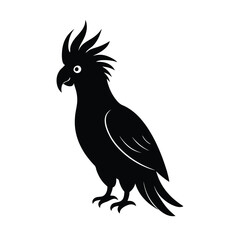 Cockatoo Silhouette Vector Art | Black and White Cockatoo Bird Illustration
